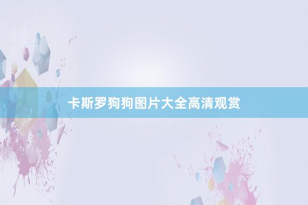 卡斯罗狗狗图片大全高清观赏
