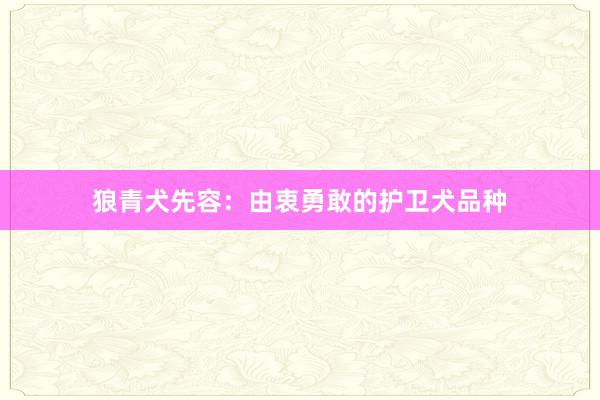 狼青犬先容：由衷勇敢的护卫犬品种